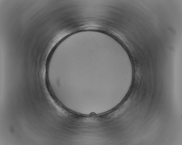 X0000110321418200906111443