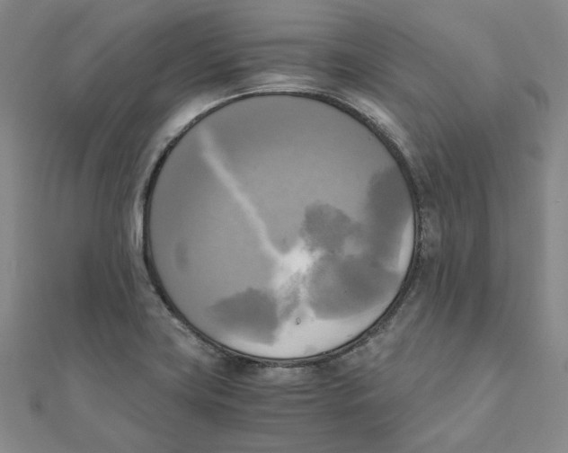 X0000110321419200906111443