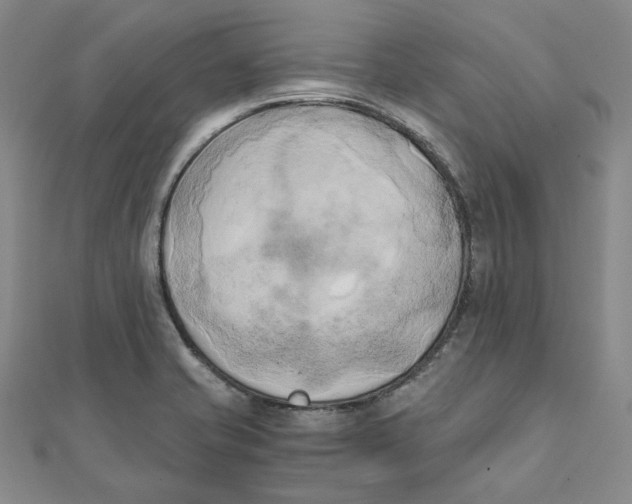 X0000110321421200906111443