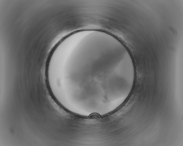 X0000110321422200906111443