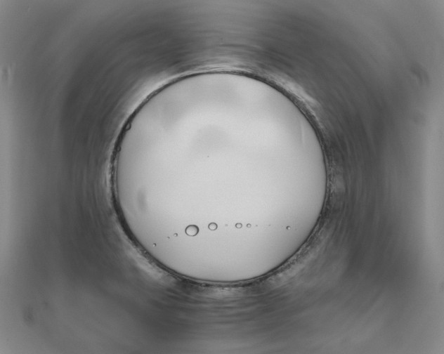 X0000110321423200906111443