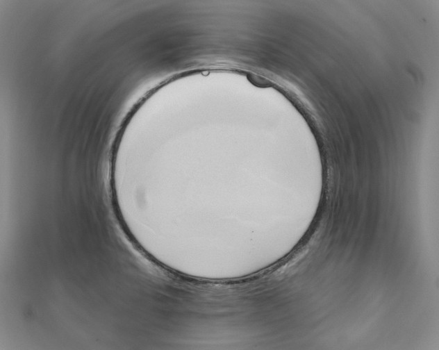 X0000110321424200906111443