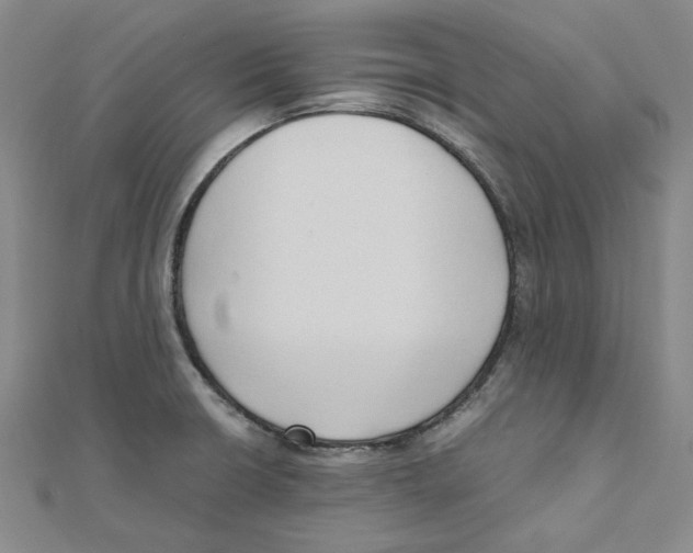 X0000110321426200906111443