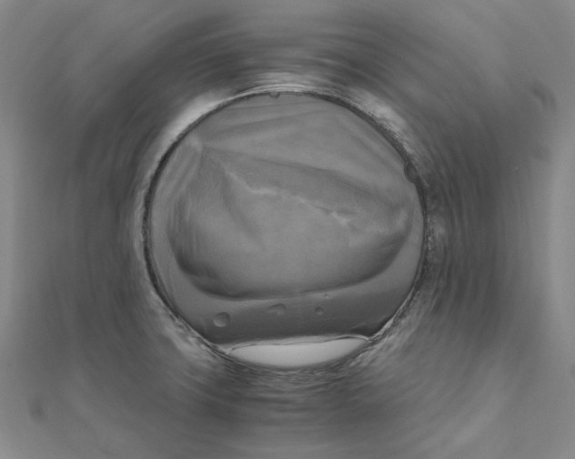 X0000110321427200906111443