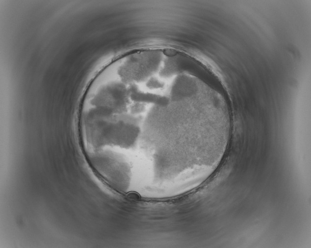 X0000110321429200906111443