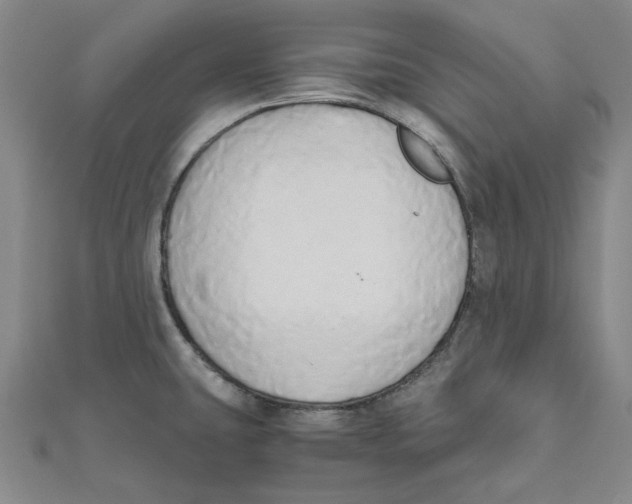 X0000110321431200906111443