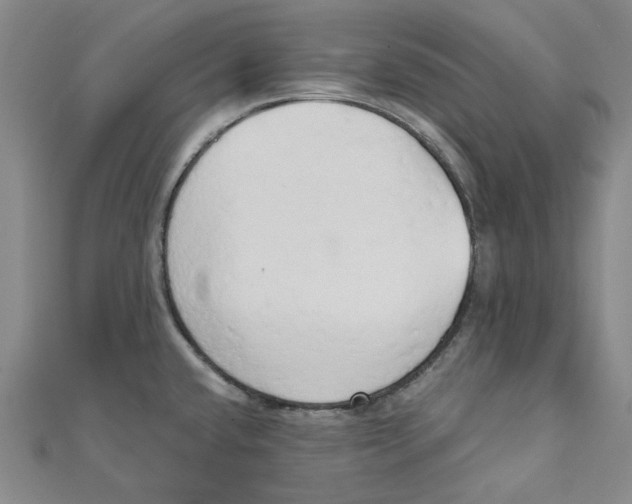 X0000110321432200906111443