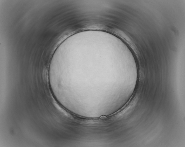 X0000110321433200906111443