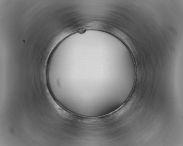 X0000110321434200906111443