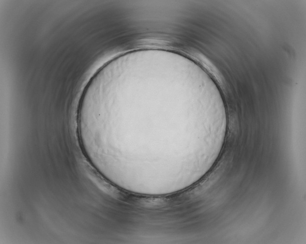 X0000110321435200906111443