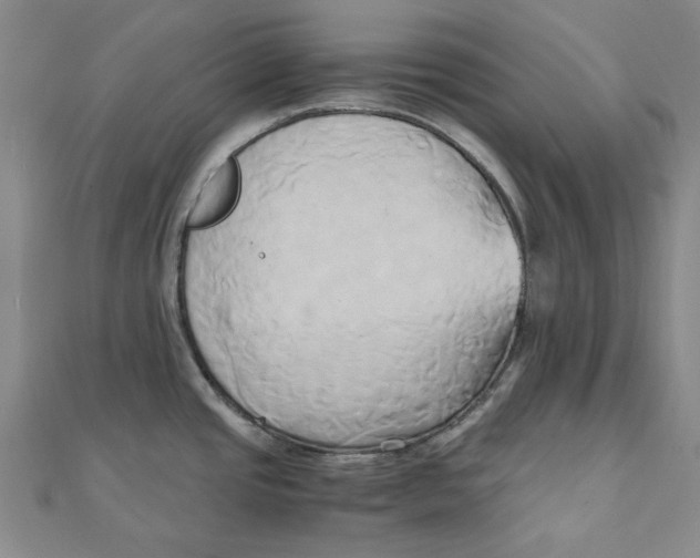 X0000110321437200906111443