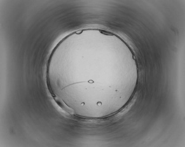 X0000110321438200906111443