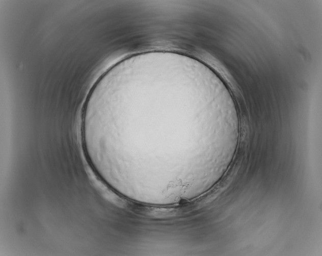 X0000110321439200906111443