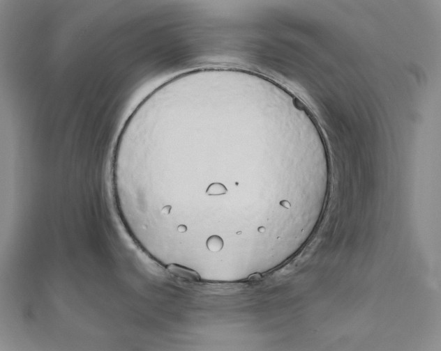 X0000110321440200906111443