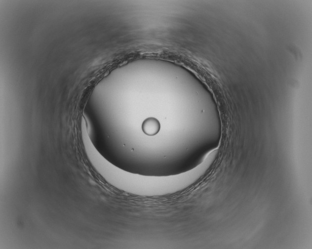 X0000110321445200906111443