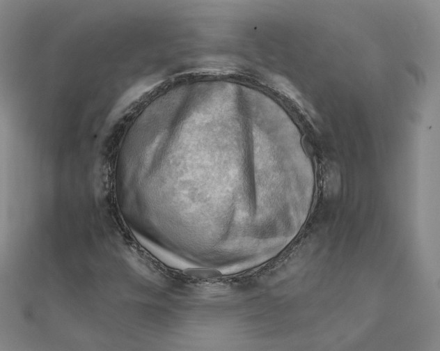 X0000110321448200906111443