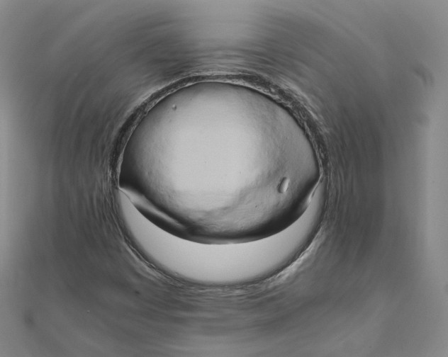 X0000110321449200906111443