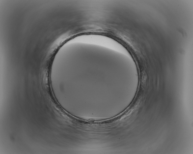 X0000110321455200906111443