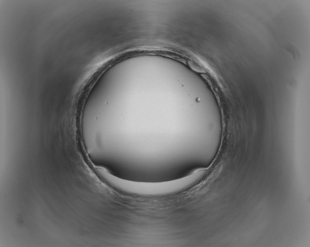 X0000110321456200906111443