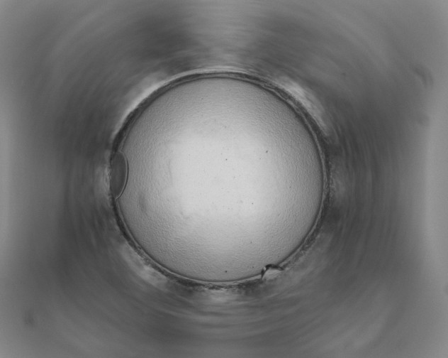 X0000110321460200906111443