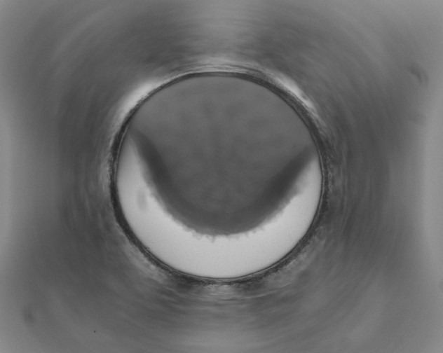 X0000110321463200906111443