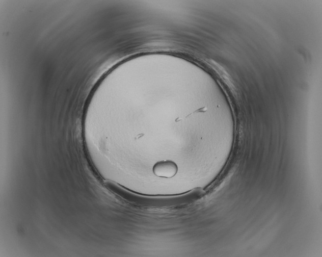 X0000110321465200906111443