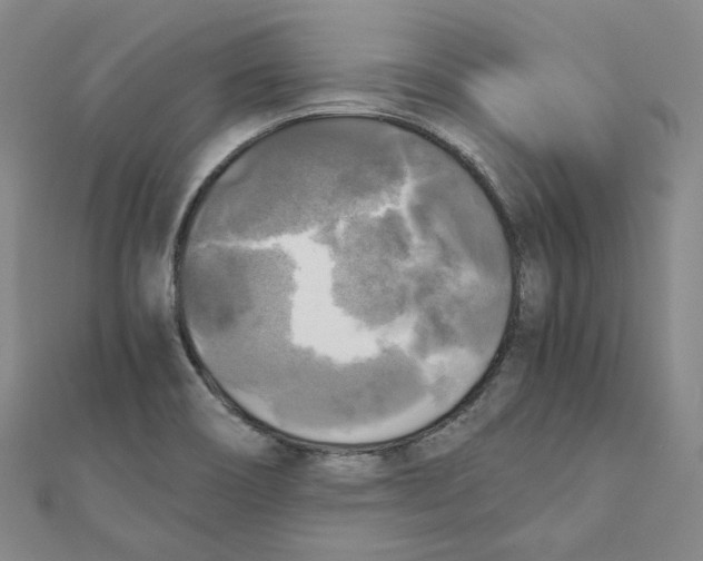 X0000110321466200906111443