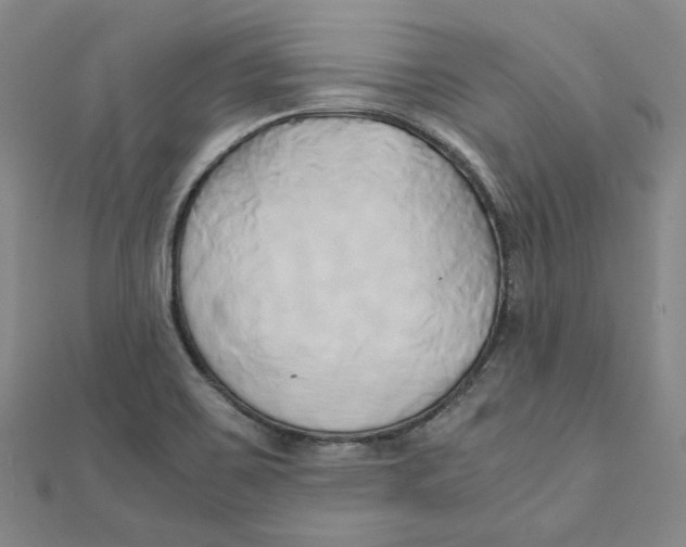 X0000110321467200906111443