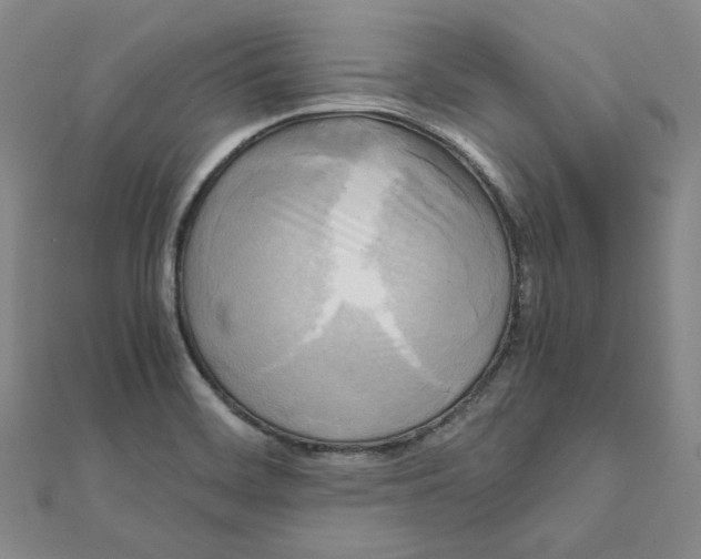 X0000110321468200906111443