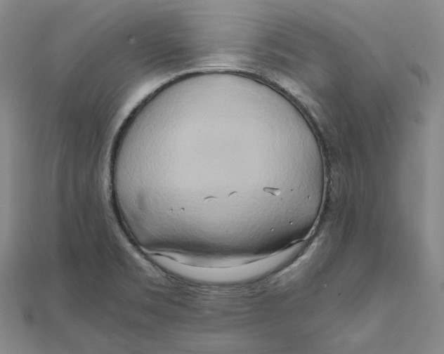 X0000110321469200906111442