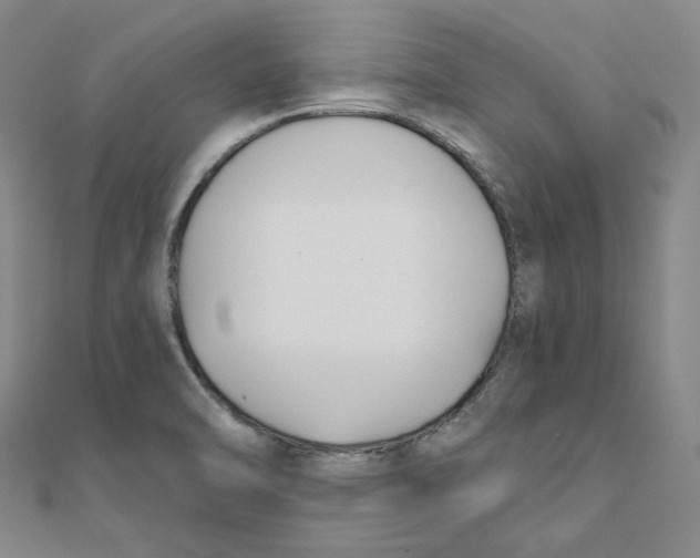 X0000110321470200906111442