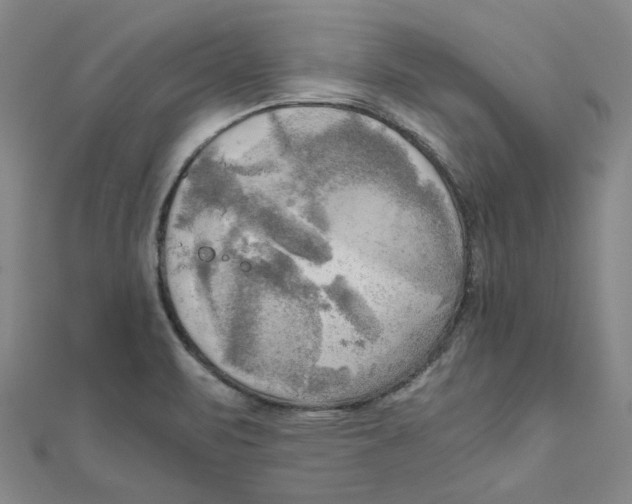 X0000110321471200906111442