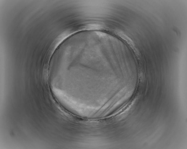 X0000110321473200906111442