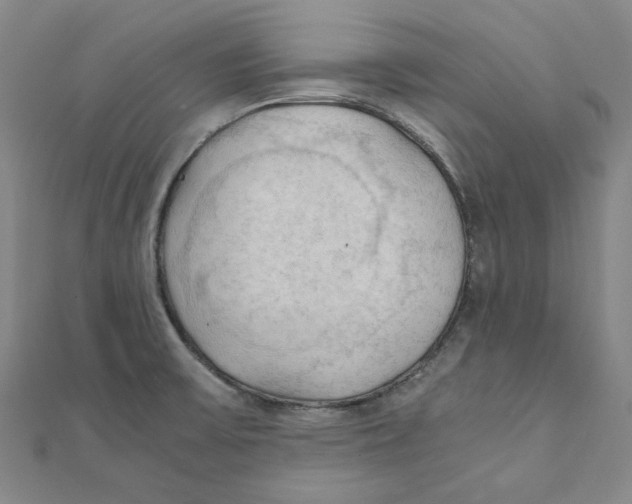 X0000110321475200906111442