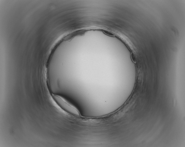 X0000110321476200906111442