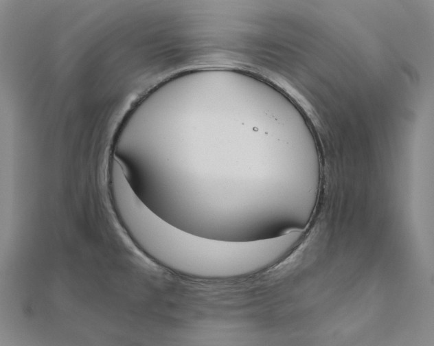 X0000110321477200906111442