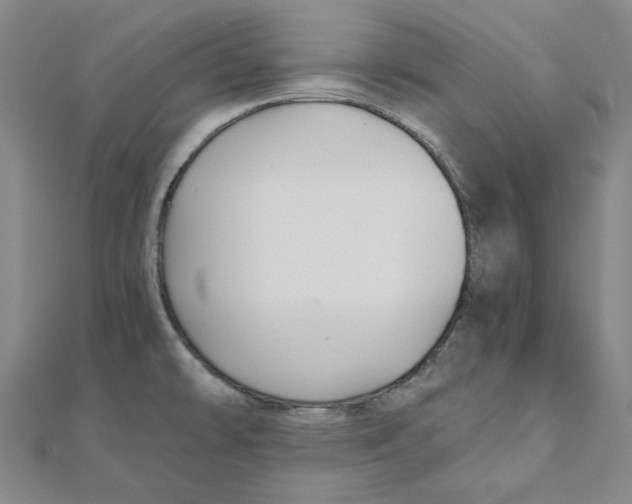 X0000110321478200906111442