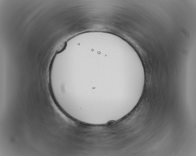 X0000110321479200906111442