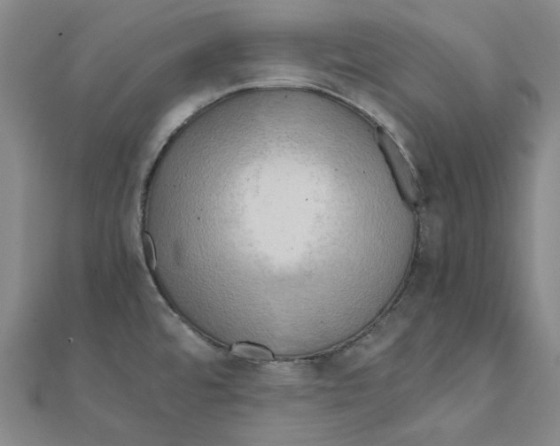 X0000110321480200906111442