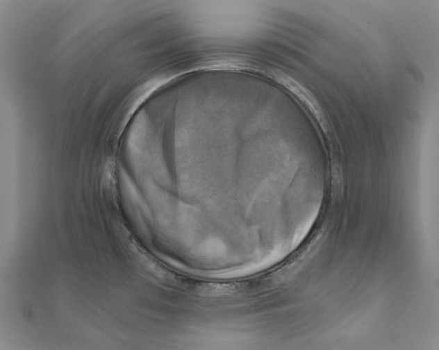 X0000110321481200906111442