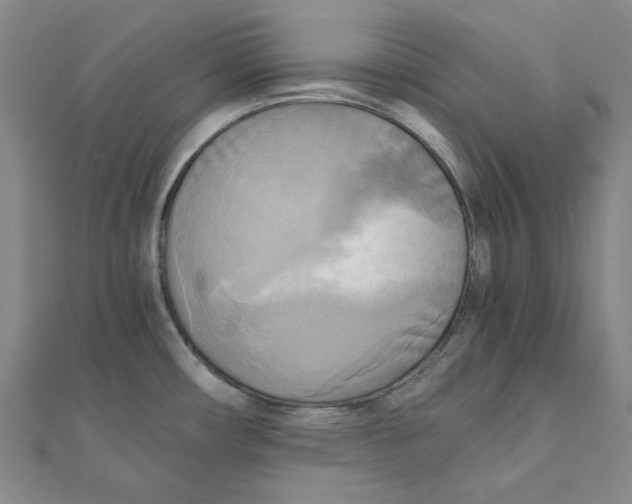 X0000110321482200906111442