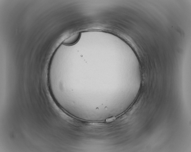 X0000110321483200906111442