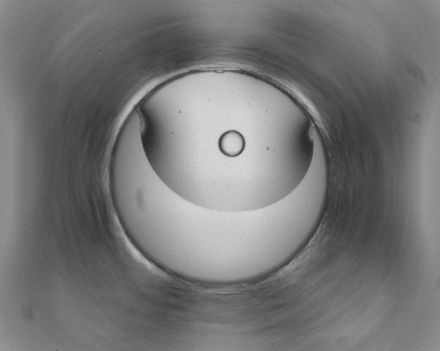 X0000110321484200906111442