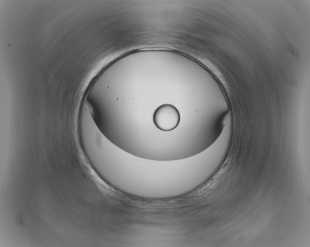 X0000110321485200906111442