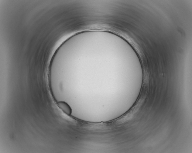 X0000110321486200906111442