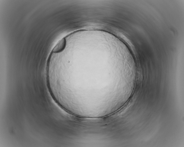 X0000110321487200906111442