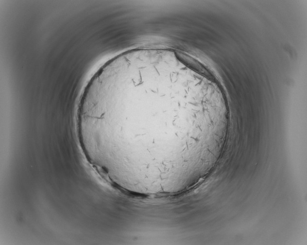 X0000110321488200906111442