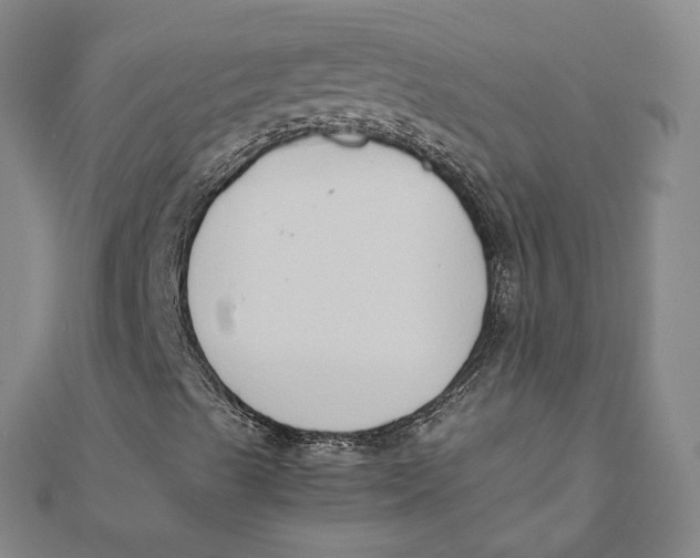 X0000110321489200906111441