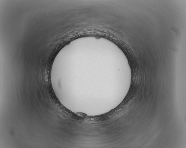 X0000110321490200906111441