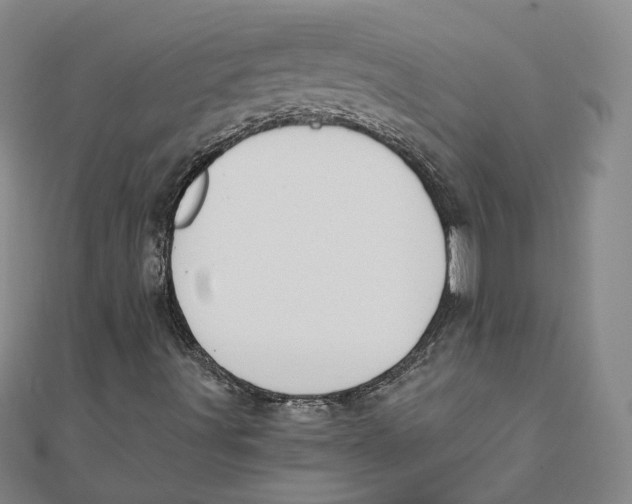 X0000110321491200906111441